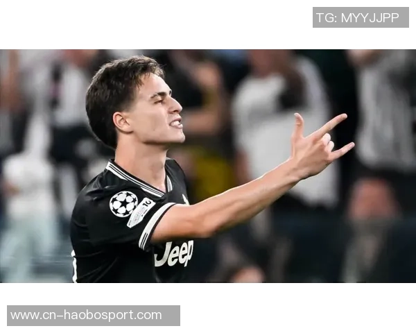 弗拉霍维奇：从天才前锋到意甲新星的崛起之路与未来展望